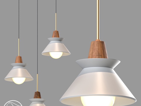  LampsShop.ru L1827 现代概念吊灯3d模型 