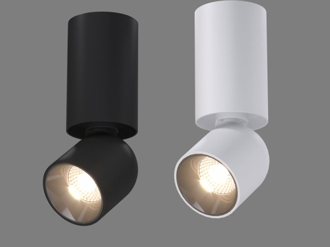  LED吸顶灯 Elektrostandard Spot 253d模型 