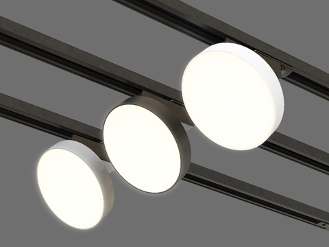  OM 单相轨道灯 Elektrostandard 850783d模型 