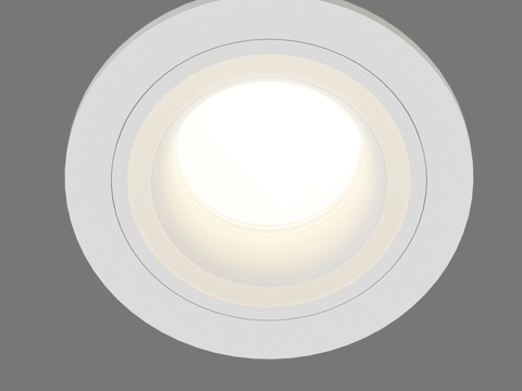  OM天花板重点照明灯Elektrostandard108113d模型 