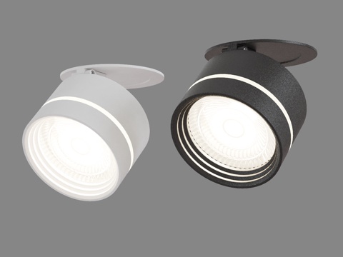  OM嵌入式射灯 Elektrostandard 250353d模型 