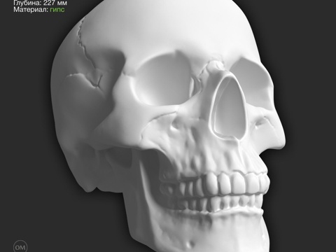  迪卡特雕塑 颅骨-1 161x149x227mm3d模型 