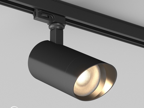  OM灯具LGD-CALIPSO-4TR-R85-10W及灯罩3d模型 