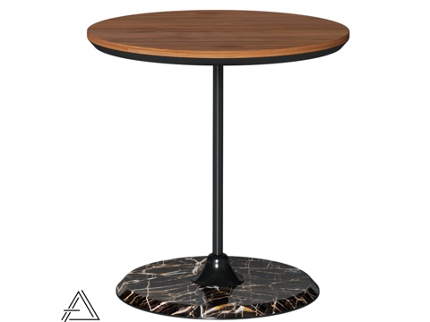  Alte Ambicioni 桌3d模型 