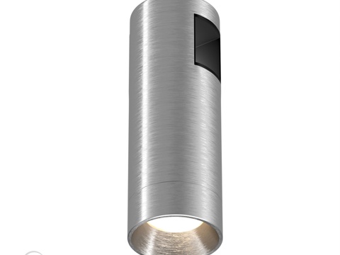  OM灯具 ART-APRIORI-SPOT-R40-8W3d模型 