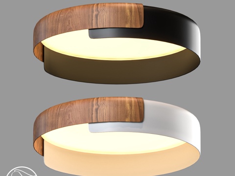  LampsShop.ru PL3249 木环吊灯3d模型 