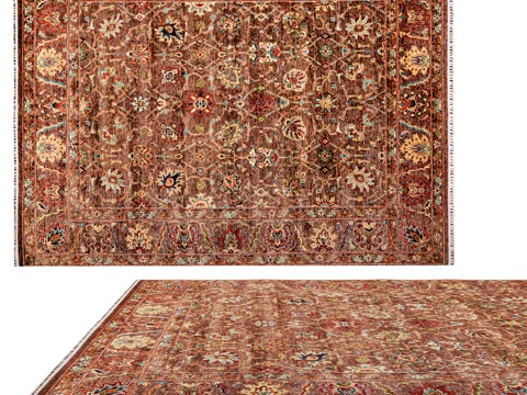  OM地毯 DOVLET HOUSE (art 19599)3d模型 