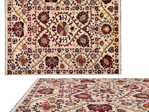  OM地毯 DOVLET HOUSE (art 19585)3d模型 