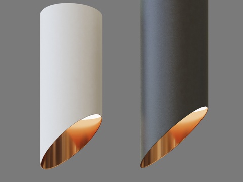  OM 天花板重点照明灯 Elektrostandard DL3d模型 