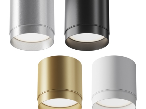  Polar天花灯 C088CL-GX53-B; C088CL3d模型 