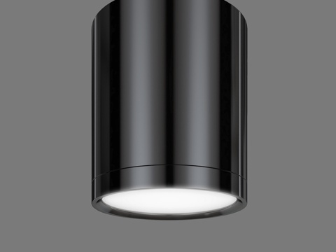  OM 表面安装LED射灯 Elektrostandard D3d模型 