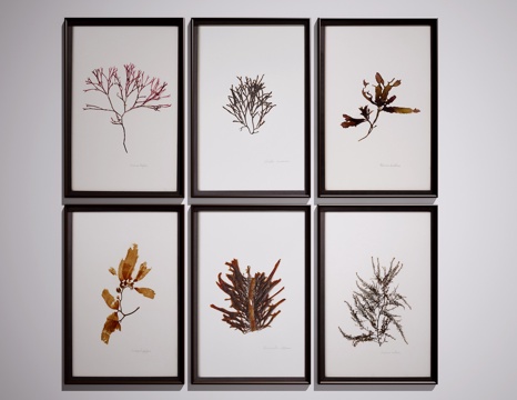  现代挂画3d模型 