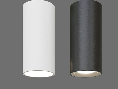  OM 天花板重点照明灯 Elektrostandard 853d模型 