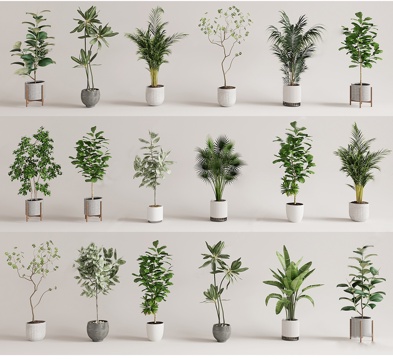  绿植 盆栽 花卉 盆景 花盆3d模型 