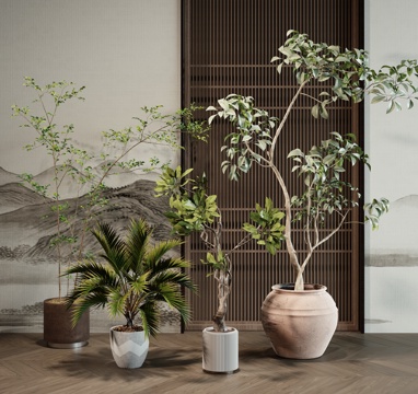  现代绿植盆栽3d模型 