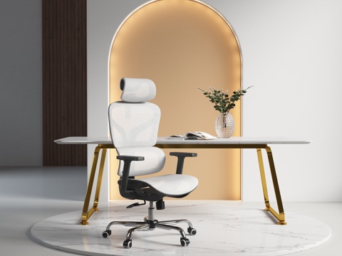 网椅，现代书桌，高端书桌3d模型