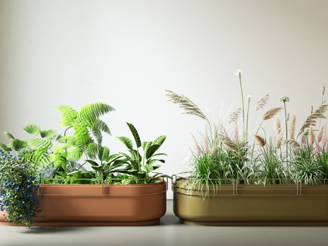  花箱 花池 花坛 植物堆 绿植 植物造景 户外花箱 造景 景3d模型 