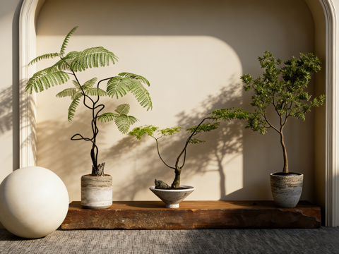 大型琴叶榕盆栽 仿真绿植 长方形实木纹理展示台 陈列台拍摄台su模型