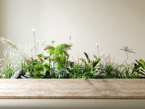  花箱 花池 花坛 植物堆 绿植 植物造景 户外花箱 造景 景3d模型 