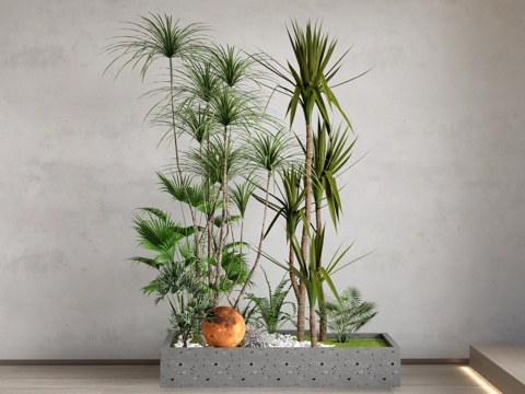 现代景观植物 景观花池 植物组团 植物堆su模型su模型