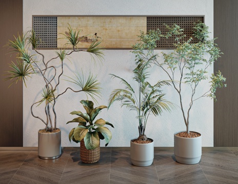 现代绿植盆栽su模型