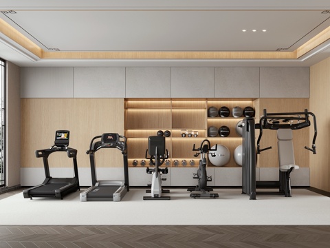 现代健身器材su模型