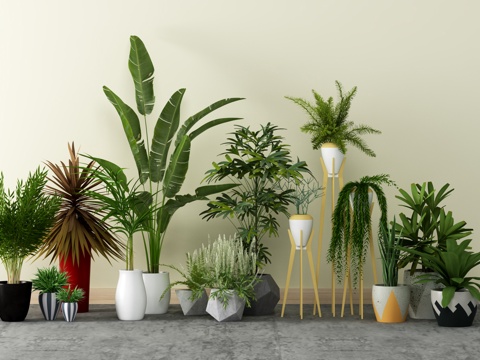 现代简约盆栽植物组合3d模型
