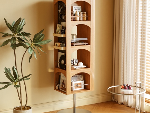  书柜 杂志柜 旋转柜 置物柜 高柜 摆件3d模型 