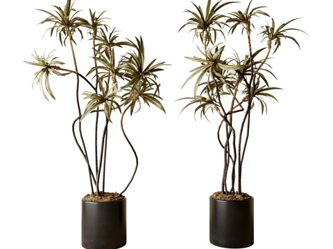 现代绿植盆栽su模型