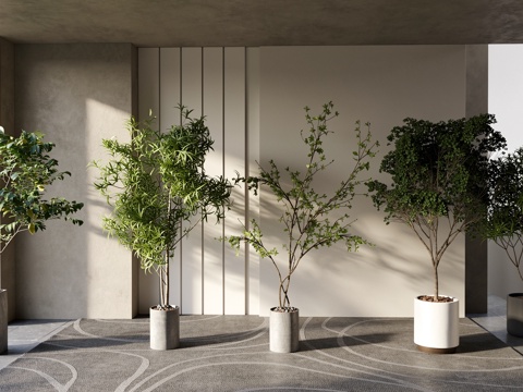 现代植物盆栽组合su模型