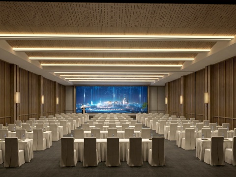 现代酒店宴会厅  大会议室su模型