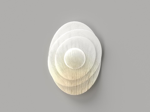  现代花瓣墙壁灯 壁饰 墙饰3d模型 