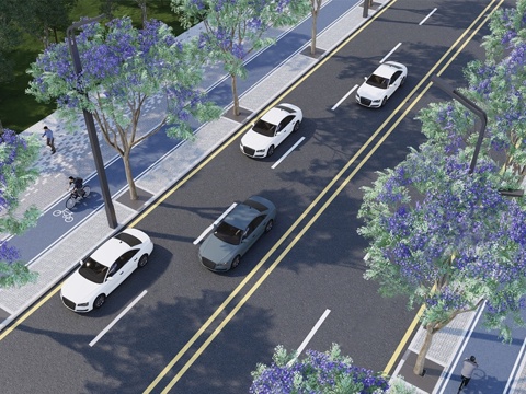 现代道路景观 行道树 蓝花楹su模型