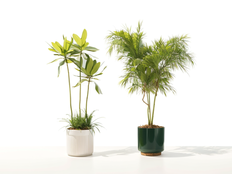 植物盆栽su模型