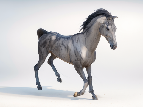  骏马su模型 