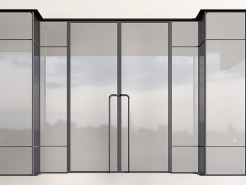 现代玻璃门 玻璃双开门 店铺玻璃门su模型