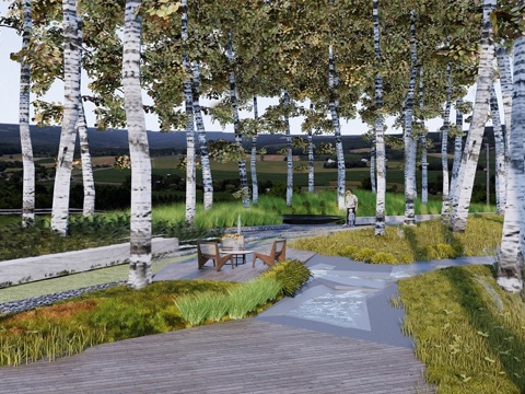  现代白桦林景观公园 林下景观su模型 