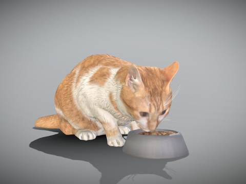  进食的猫12su模型 