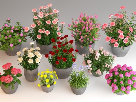  盆栽 月季花绣球花 花卉花草 花境 植物绿植 阳台绿植su模型 