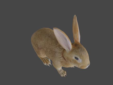  棕色小兔兔低多边形su模型 