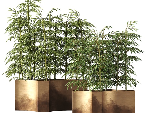 植物盆景3d模型