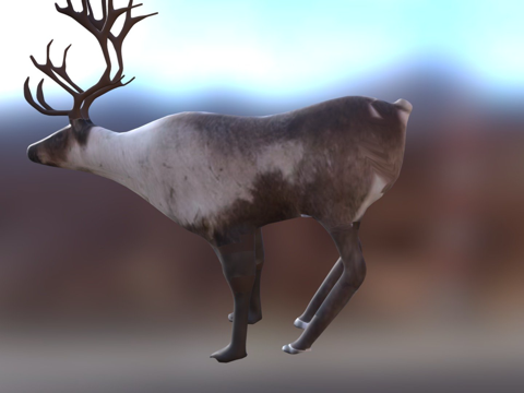  鹿CG模型su模型 