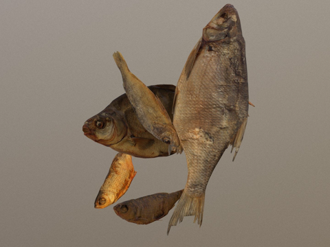  干鱼套装su模型 