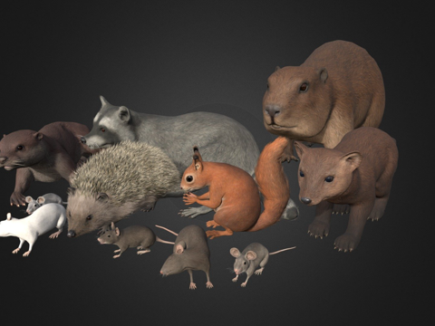 小型动物套装su模型