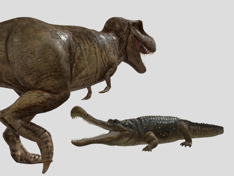  霸王龙对战帝王鳄su模型 