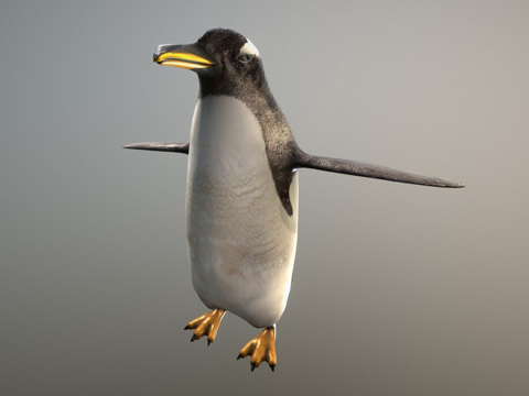 金图企鹅动物园su模型