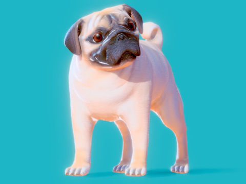 低多边形风格化狗巴哥犬su模型