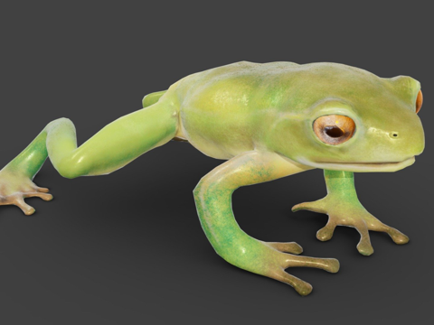 青蛙低多边形su模型