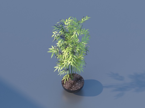  花盆 盆栽 绿植 植物3d模型 