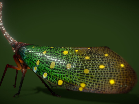 灯笼低多边形su模型